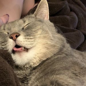 Meet your Posher, Cait